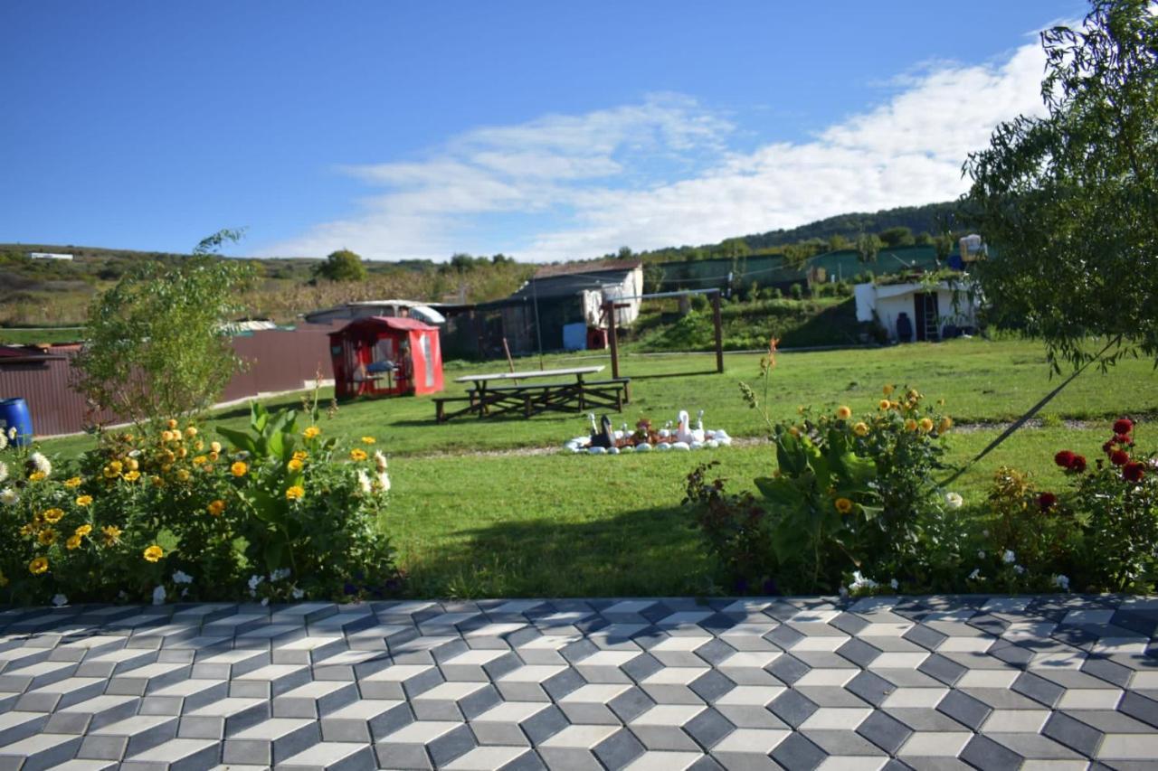 Bbs Residence Kolozsvár Kültér fotó