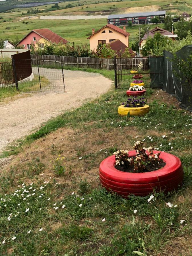 Bbs Residence Kolozsvár Kültér fotó